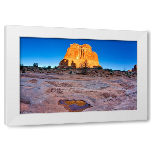 Arches National Park evening light-USA-Utah White Modern Wood Framed Art Print by Eggers, Terry