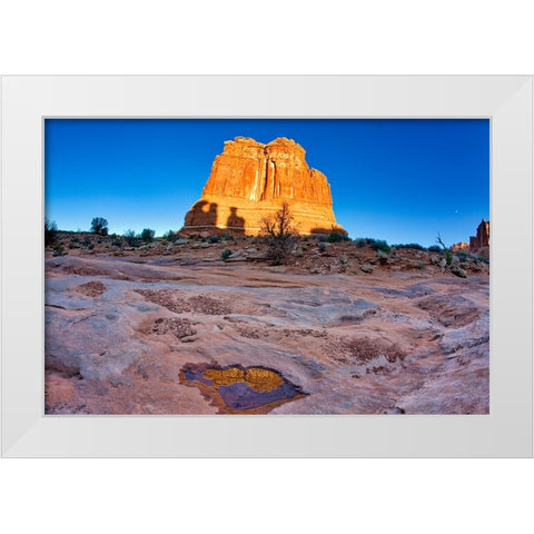 Arches National Park evening light-USA-Utah White Modern Wood Framed Art Print by Eggers, Terry