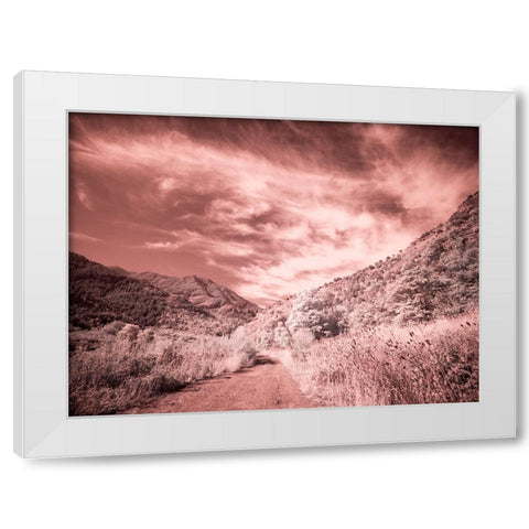 USA-Utah-Infrared of backroad in the Logan Pass area White Modern Wood Framed Art Print by Eggers, Terry
