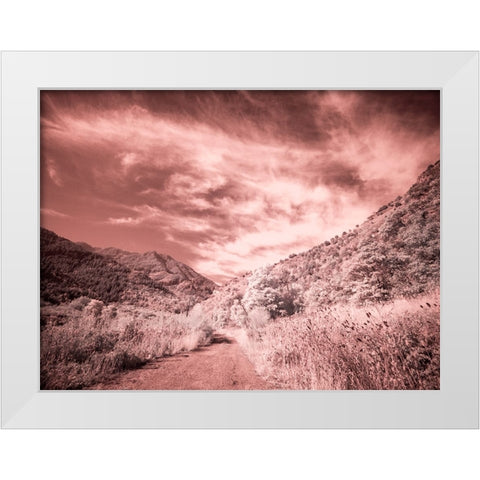 USA-Utah-Infrared of backroad in the Logan Pass area White Modern Wood Framed Art Print by Eggers, Terry