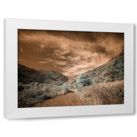 USA-Utah-Infrared of backroad in the Logan Pass area White Modern Wood Framed Art Print by Eggers, Terry