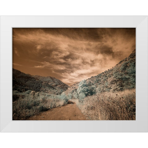 USA-Utah-Infrared of backroad in the Logan Pass area White Modern Wood Framed Art Print by Eggers, Terry
