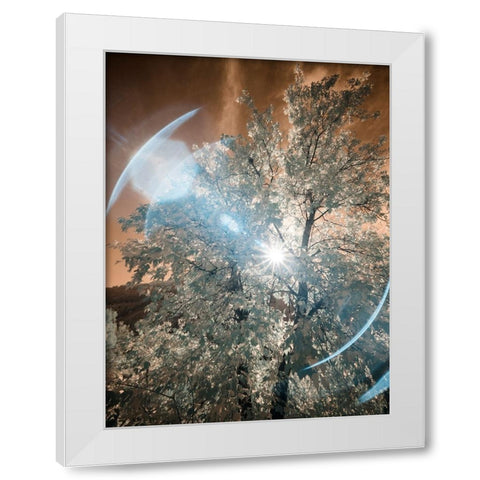 USA-Utah-Infrared of the Logan Pass area White Modern Wood Framed Art Print by Eggers, Terry