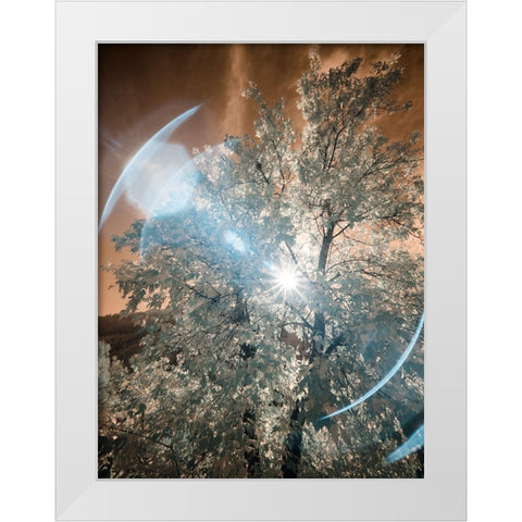 USA-Utah-Infrared of the Logan Pass area White Modern Wood Framed Art Print by Eggers, Terry