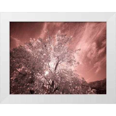 USA-Utah-Infrared of the Logan Pass area White Modern Wood Framed Art Print by Eggers, Terry