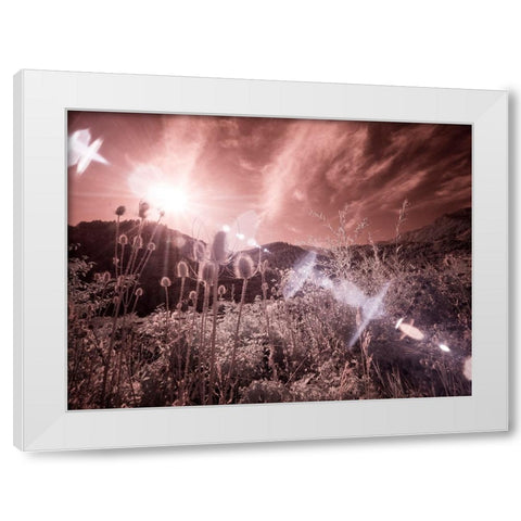 USA-Utah-Infrared of the Logan Pass area with sunrays White Modern Wood Framed Art Print by Eggers, Terry