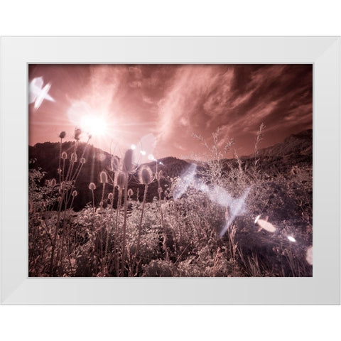 USA-Utah-Infrared of the Logan Pass area with sunrays White Modern Wood Framed Art Print by Eggers, Terry