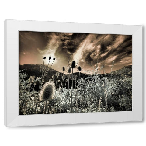USA-Utah-Infrared of the Logan Pass area White Modern Wood Framed Art Print by Eggers, Terry