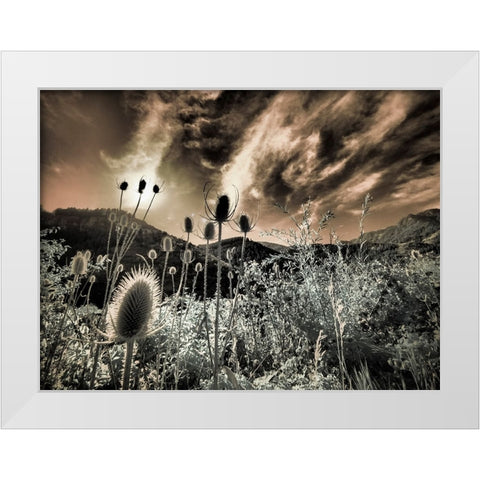 USA-Utah-Infrared of the Logan Pass area White Modern Wood Framed Art Print by Eggers, Terry
