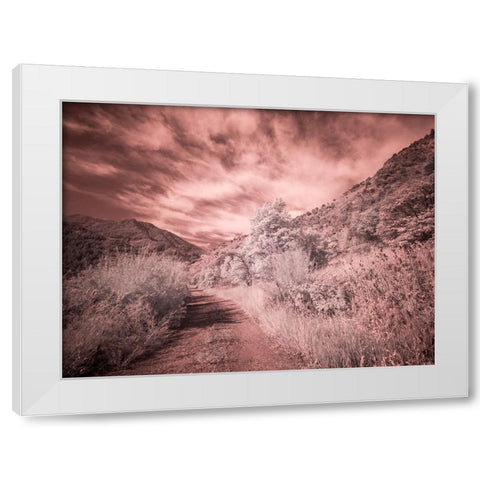 USA-Utah-Infrared of backroad in the Logan Pass area White Modern Wood Framed Art Print by Eggers, Terry