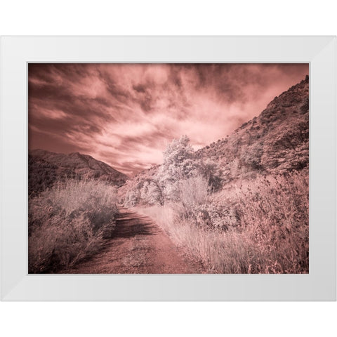 USA-Utah-Infrared of backroad in the Logan Pass area White Modern Wood Framed Art Print by Eggers, Terry