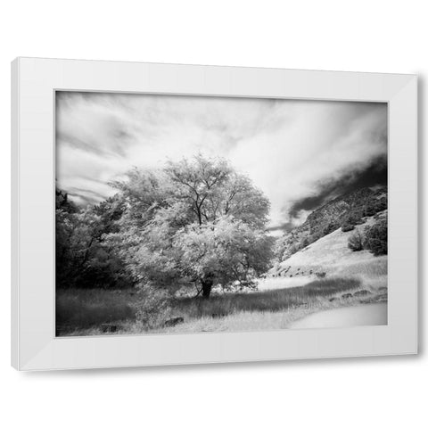 USA-Utah-Infrared of the Logan Pass area and lone tree White Modern Wood Framed Art Print by Eggers, Terry