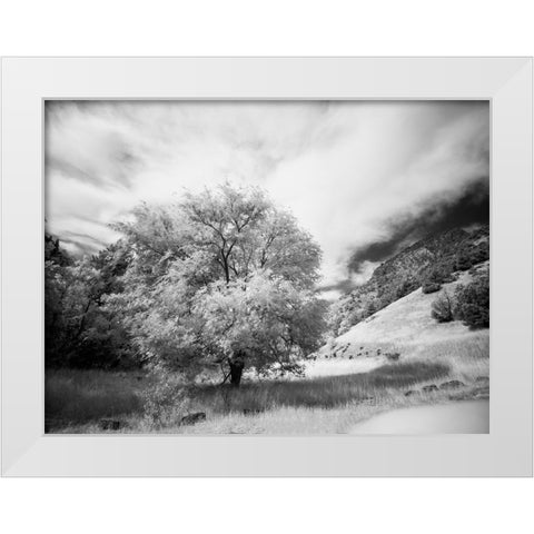 USA-Utah-Infrared of the Logan Pass area and lone tree White Modern Wood Framed Art Print by Eggers, Terry