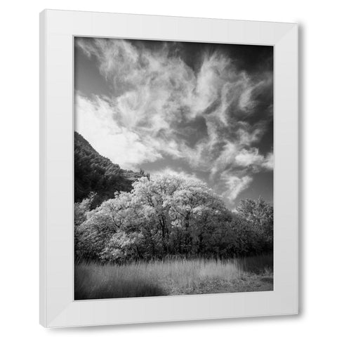 USA-Utah-Infrared of the Logan Pass area and lone tree White Modern Wood Framed Art Print by Eggers, Terry