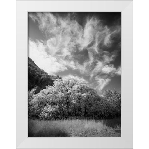 USA-Utah-Infrared of the Logan Pass area and lone tree White Modern Wood Framed Art Print by Eggers, Terry