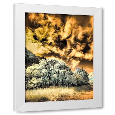 USA-Utah-Infrared of the Logan Pass area and lone tree White Modern Wood Framed Art Print by Eggers, Terry