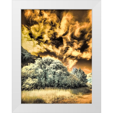 USA-Utah-Infrared of the Logan Pass area and lone tree White Modern Wood Framed Art Print by Eggers, Terry