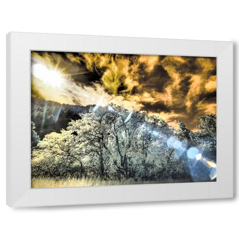USA-Utah-Infrared of the Logan Pass area and lone tree White Modern Wood Framed Art Print by Eggers, Terry