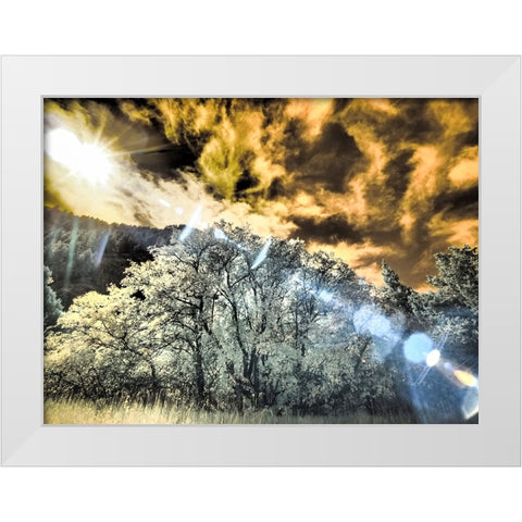 USA-Utah-Infrared of the Logan Pass area and lone tree White Modern Wood Framed Art Print by Eggers, Terry