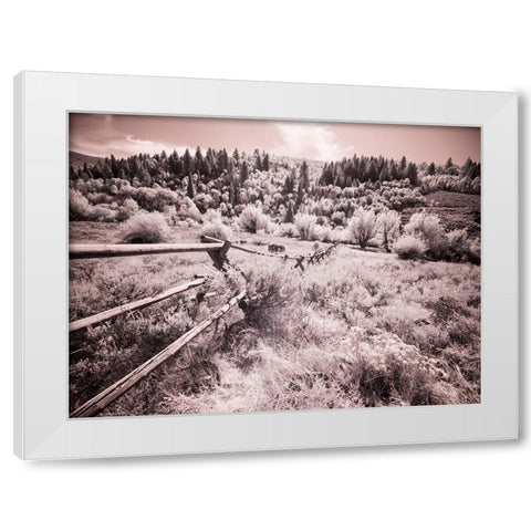 USA-Utah-Infrared of the Logan Pass area with long rail fence White Modern Wood Framed Art Print by Eggers, Terry