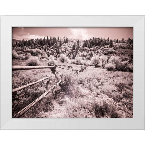 USA-Utah-Infrared of the Logan Pass area with long rail fence White Modern Wood Framed Art Print by Eggers, Terry