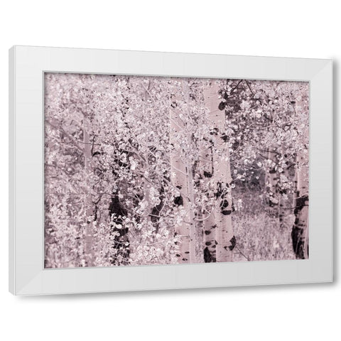 USA-Utah-Aspen Grove in infrared of the Logan Pass area White Modern Wood Framed Art Print by Eggers, Terry