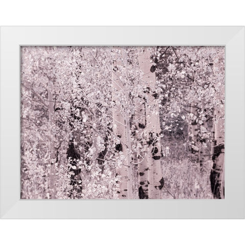 USA-Utah-Aspen Grove in infrared of the Logan Pass area White Modern Wood Framed Art Print by Eggers, Terry