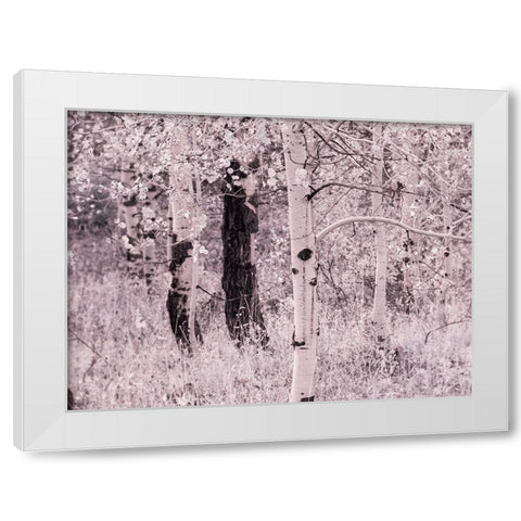 USA-Utah-Aspen Grove in infrared of the Logan Pass area White Modern Wood Framed Art Print by Eggers, Terry