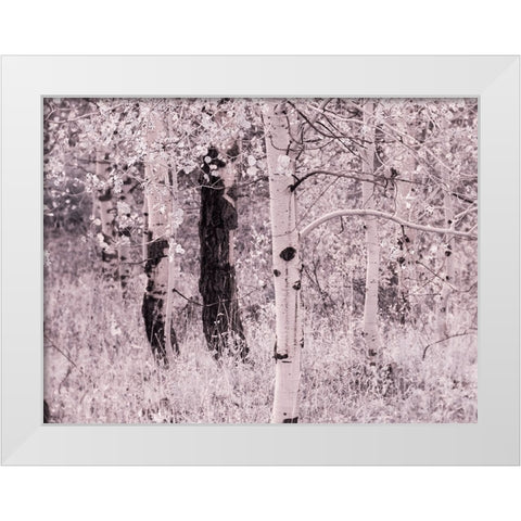 USA-Utah-Aspen Grove in infrared of the Logan Pass area White Modern Wood Framed Art Print by Eggers, Terry
