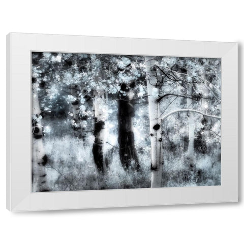 USA-Utah-Aspen Grove in infrared of the Logan Pass area White Modern Wood Framed Art Print by Eggers, Terry