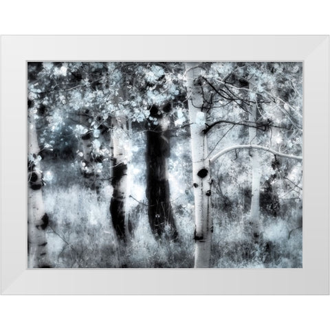 USA-Utah-Aspen Grove in infrared of the Logan Pass area White Modern Wood Framed Art Print by Eggers, Terry