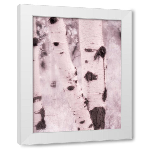 USA-Utah-Aspen Grove in infrared of the Logan Pass area White Modern Wood Framed Art Print by Eggers, Terry