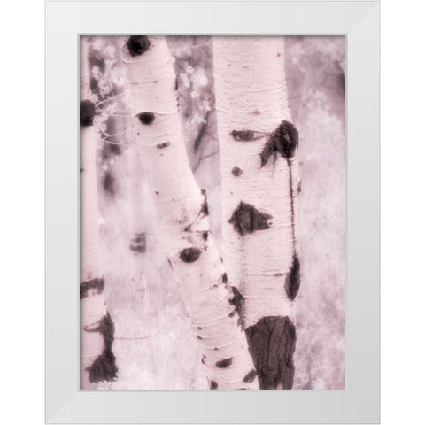 USA-Utah-Aspen Grove in infrared of the Logan Pass area White Modern Wood Framed Art Print by Eggers, Terry