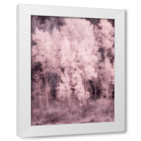 USA-Utah-Aspen Grove in infrared of the Logan Pass area White Modern Wood Framed Art Print by Eggers, Terry