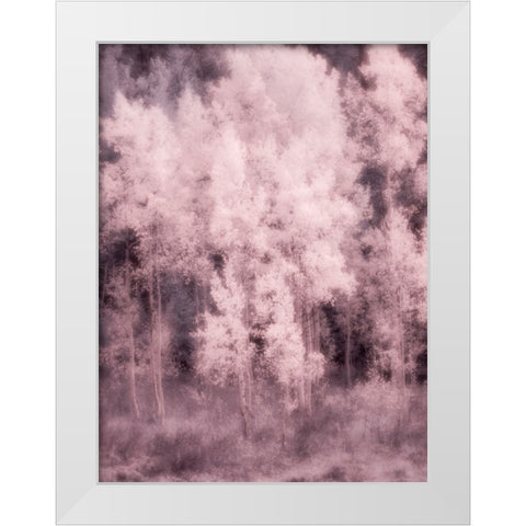 USA-Utah-Aspen Grove in infrared of the Logan Pass area White Modern Wood Framed Art Print by Eggers, Terry