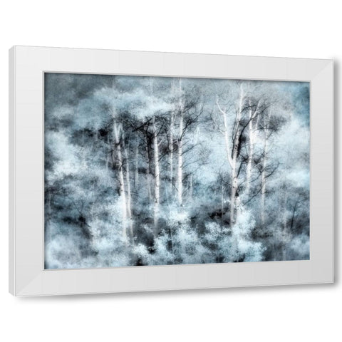 USA-Utah-Aspen Grove in infrared of the Logan Pass area White Modern Wood Framed Art Print by Eggers, Terry