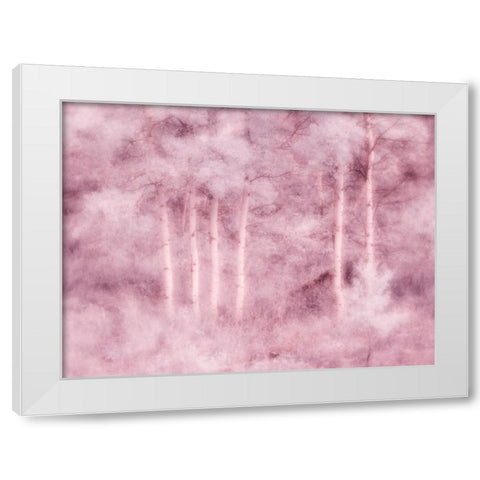 USA-Utah-Aspen Grove in infrared of the Logan Pass area White Modern Wood Framed Art Print by Eggers, Terry