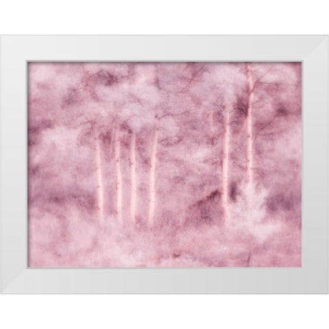 USA-Utah-Aspen Grove in infrared of the Logan Pass area White Modern Wood Framed Art Print by Eggers, Terry