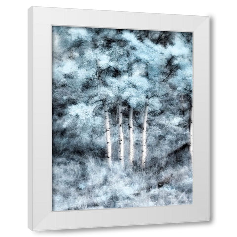 USA-Utah-Aspen Grove in infrared of the Logan Pass area White Modern Wood Framed Art Print by Eggers, Terry