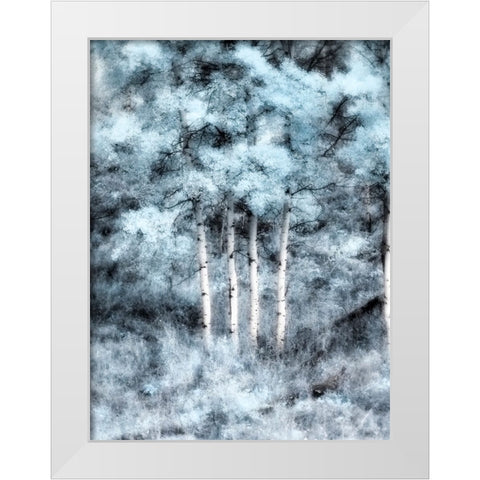 USA-Utah-Aspen Grove in infrared of the Logan Pass area White Modern Wood Framed Art Print by Eggers, Terry