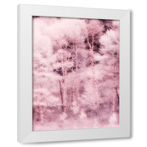 USA-Utah-Aspen Grove in infrared of the Logan Pass area White Modern Wood Framed Art Print by Eggers, Terry