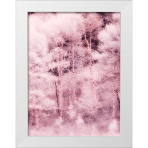USA-Utah-Aspen Grove in infrared of the Logan Pass area White Modern Wood Framed Art Print by Eggers, Terry