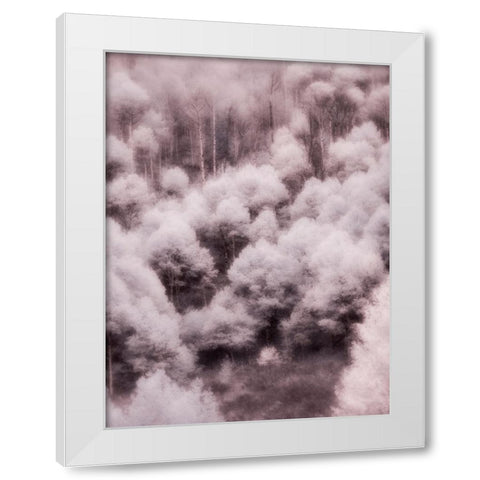 USA-Utah-Aspen Grove in infrared of the Logan Pass area White Modern Wood Framed Art Print by Eggers, Terry