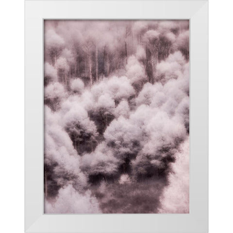 USA-Utah-Aspen Grove in infrared of the Logan Pass area White Modern Wood Framed Art Print by Eggers, Terry