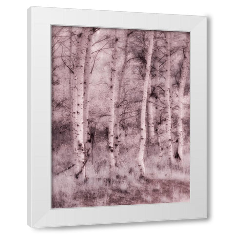 USA-Utah-Aspen Grove in infrared of the Logan Pass area White Modern Wood Framed Art Print by Eggers, Terry