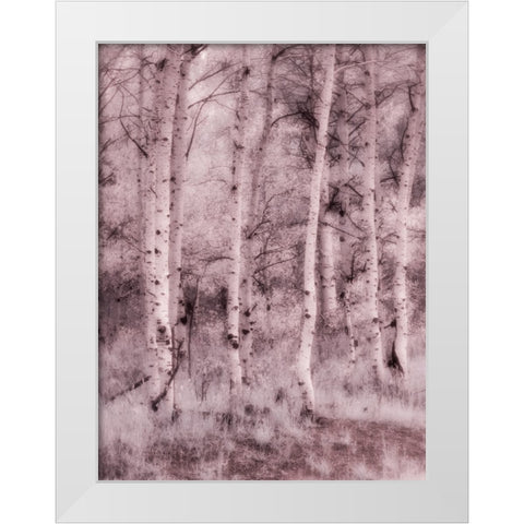 USA-Utah-Aspen Grove in infrared of the Logan Pass area White Modern Wood Framed Art Print by Eggers, Terry
