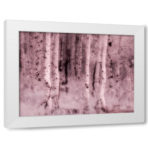 USA-Utah-Aspen Grove in infrared of the Logan Pass area White Modern Wood Framed Art Print by Eggers, Terry