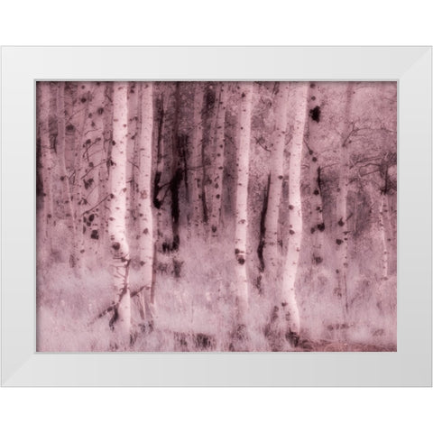 USA-Utah-Aspen Grove in infrared of the Logan Pass area White Modern Wood Framed Art Print by Eggers, Terry