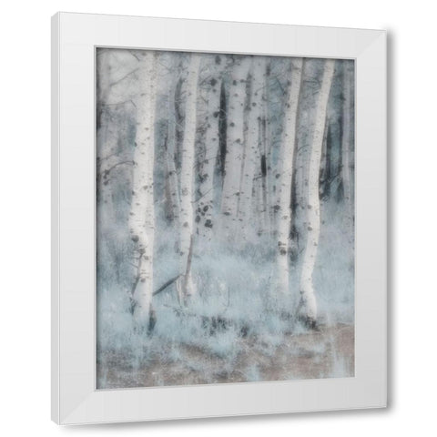 USA-Utah-Aspen Grove in infrared of the Logan Pass area White Modern Wood Framed Art Print by Eggers, Terry
