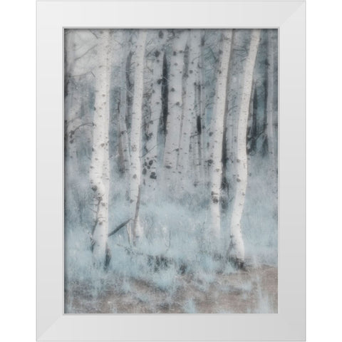 USA-Utah-Aspen Grove in infrared of the Logan Pass area White Modern Wood Framed Art Print by Eggers, Terry